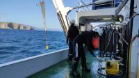 Un equipo científico del IEO estudiará las conexiones tróficas entre sistemas costeros y oceánicos aplicando técnicas isotópicas punteras