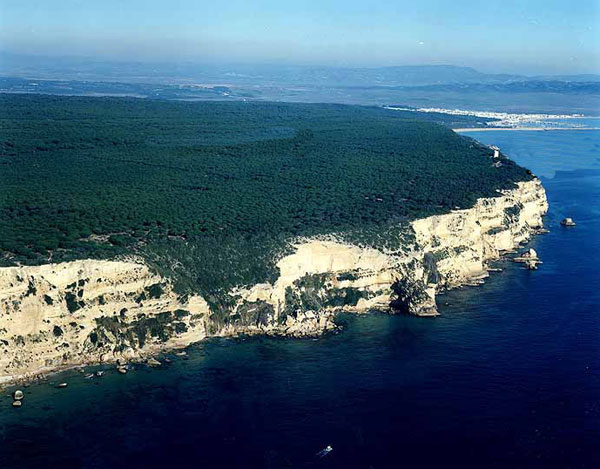 Costa del Parque Natural de la Breña y las marismas de Barbate