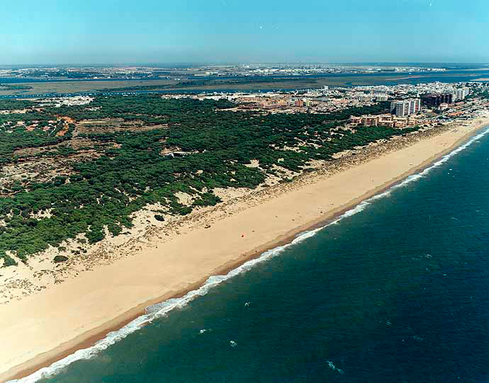 La Mata Negra / Los Enebrales 