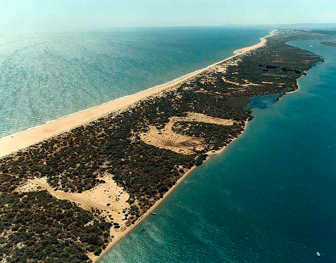 Nueva Umbría Lepe Huelva