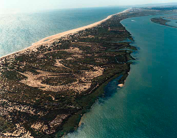 Nueva Umbría Lepe Huelva