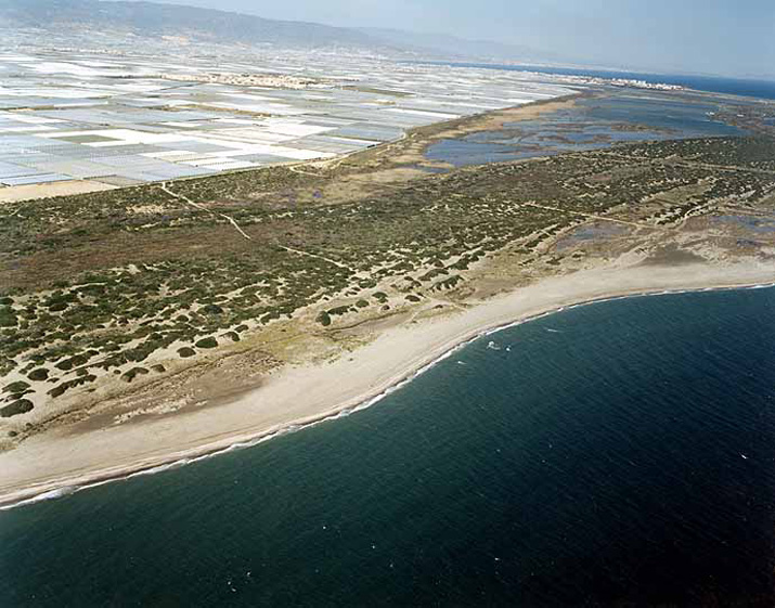 Playa de Almerimar / San Miguel Levante y Playa de Cerillos (El Ejido) 