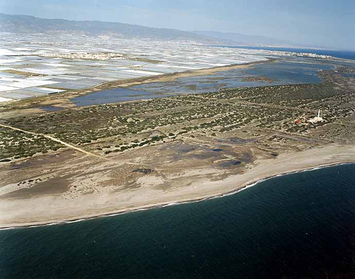 Playa de Almerimar / San Miguel Levante y Playa de Cerillos (El Ejido) 