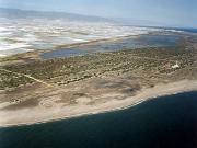 Playa de Almerimar / San Miguel Levante y Playa de Cerillos (El Ejido) 