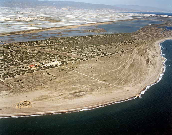 Playa de Almerimar / San Miguel Levante y Playa de Cerillos (El Ejido) 