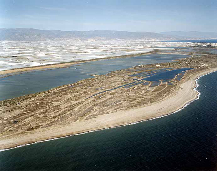 Playa de Almerimar / San Miguel Levante y Playa de Cerillos (El Ejido) 