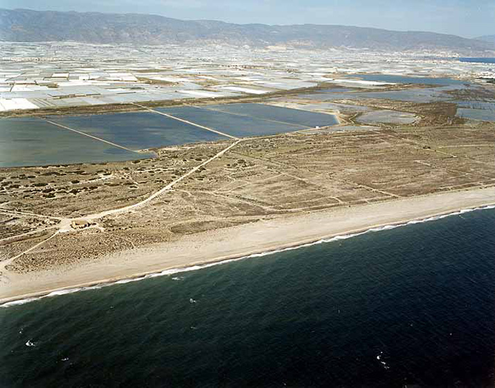 Playa de Almerimar / San Miguel Levante y Playa de Cerillos (El Ejido) 