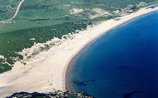 Playa de Bolonia 