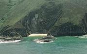 Playa del Oso