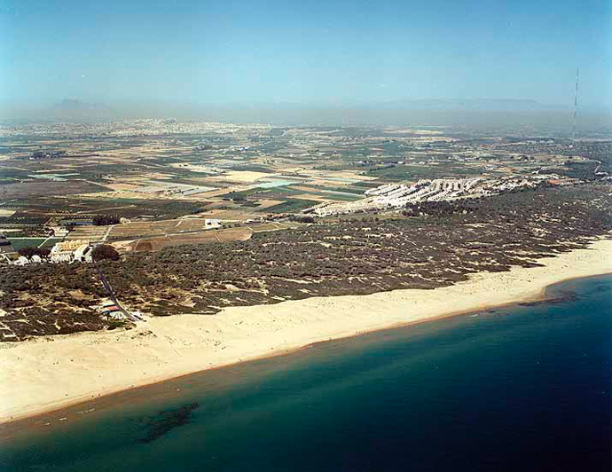 Playa de les Ortigues y del Campo (Guardamar del Segura)