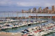 Campello