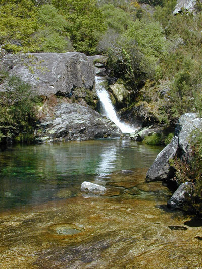 Fervenza de Tourón