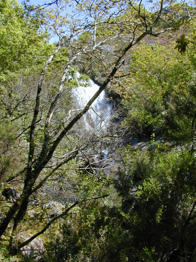 Fervenza de Tourón