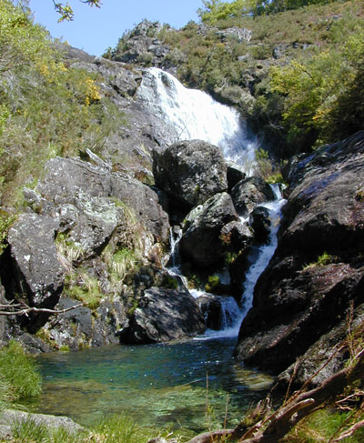 Fervenza de Tourón