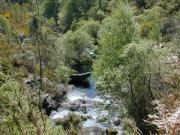 Río abajo en primavera