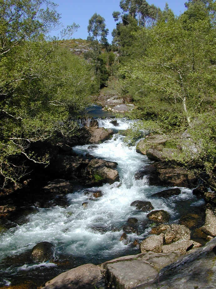 Fervenzas del Almofrei.