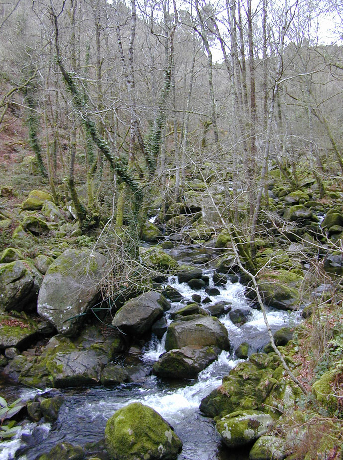 Fervenzas del Barbantiño y Camino natural del río Barbantiño