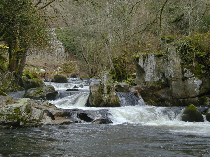 Fervenzas del Barbantiño y Camino natural del río Barbantiño