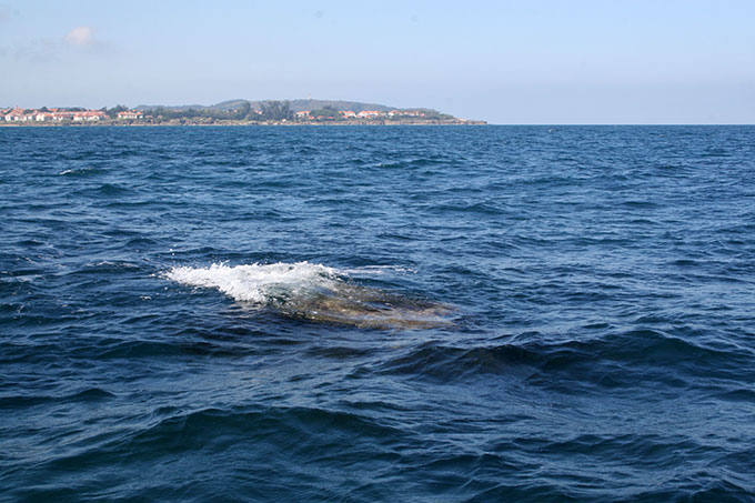 Bajos al N de la playa de Noja