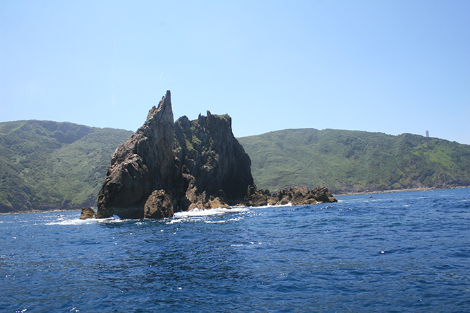 Parece que avanza por la mar