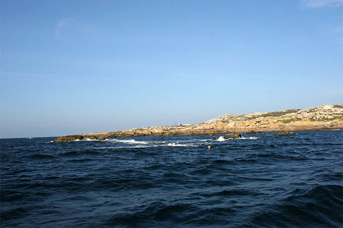 Punta Pirula