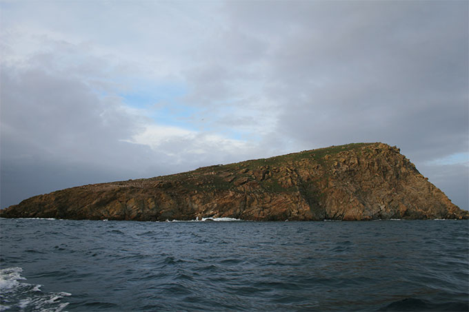 Isla Coelleira desde el S