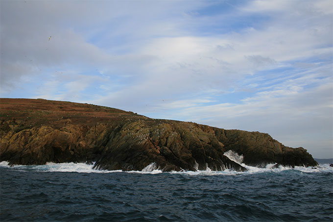 Isla Coelleira. Punta Puras