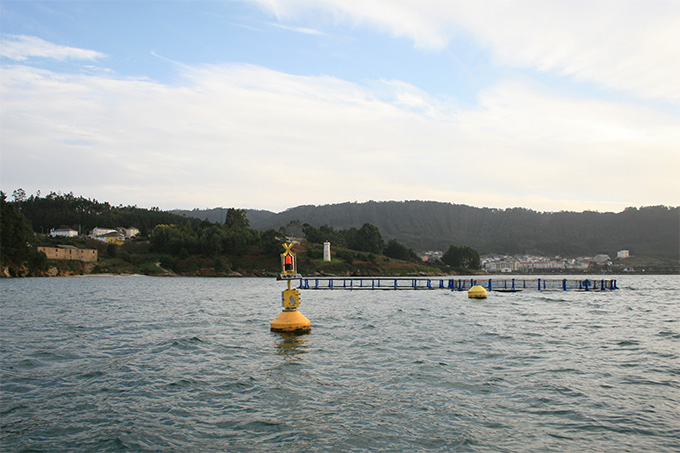 Boya y viveros, enfrente Caolín. Punta do Faro y O Vicedo