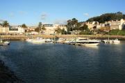 Ortigueira