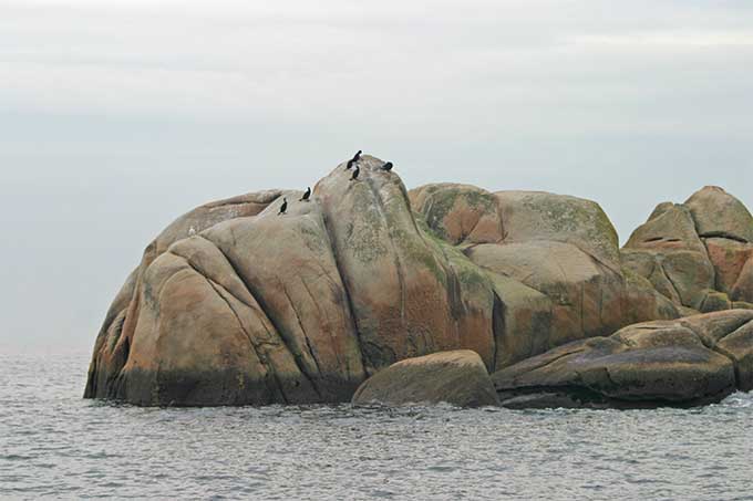 Piedras de los Xidoiros. Naturaleza viva