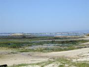 Puente a la Illa de Arousa desde Vilanova