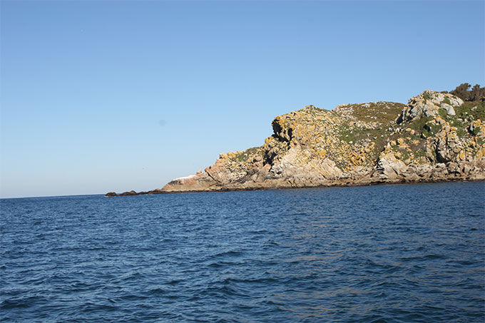 Punta Cabaliño