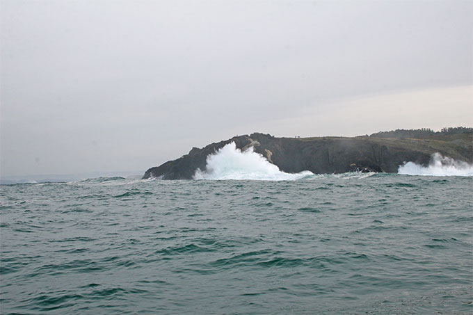 Seixo Blanco