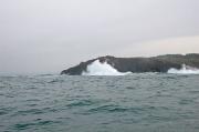 Seixo Blanco