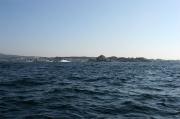 Punta Falcoeiro
