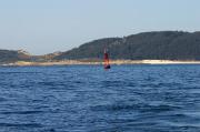 Cies desde el Subrido