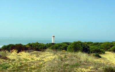 09175 Faro de Torre de la Higuera