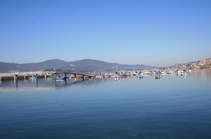 Cesantes. Ensenada de San Simón. Redondela. Ría de Vigo