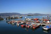 Cesantes. Ensenada de San Simón. Redondela. Ría de Vigo