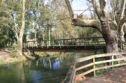 Puente de madera en As Aceñas