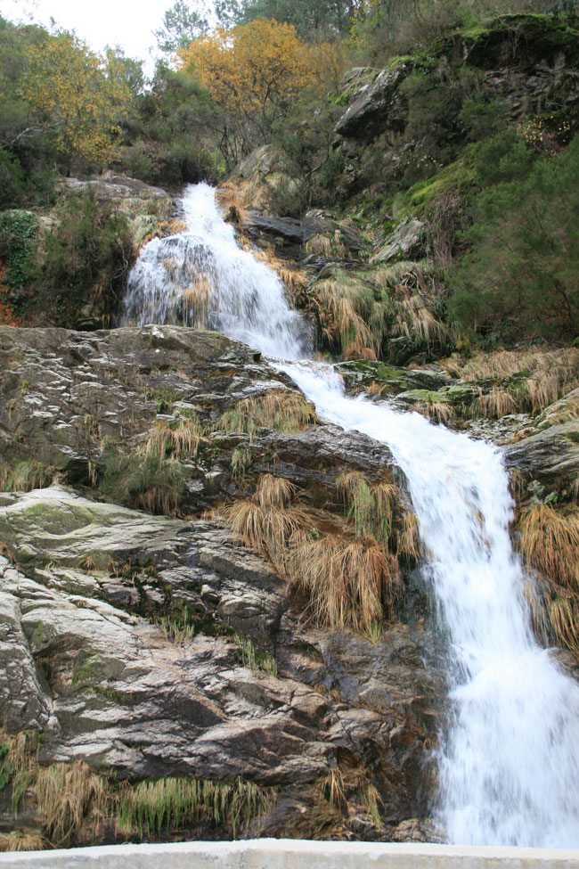 Monte y agua en Mougas