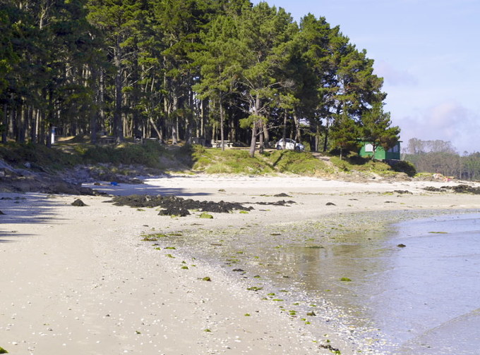 Playa de Ariño. Canariñas