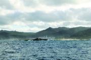 Praia de Arou