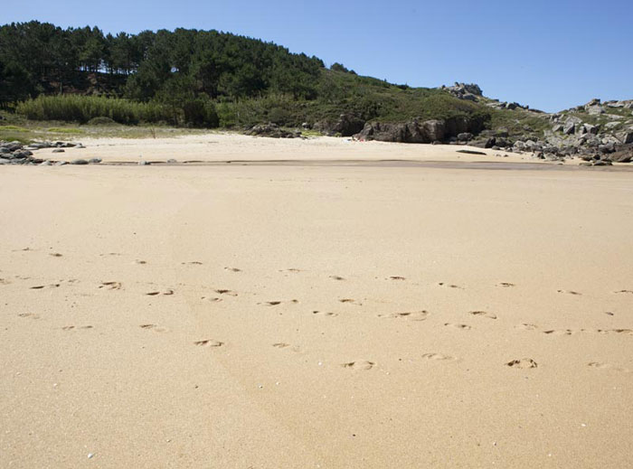 Praia de Rio Maior / O Dique (Porto do Son)