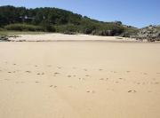 Praia de Rio Maior / O Dique (Porto do Son)