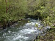 Río Eo. Coto de Xinzo