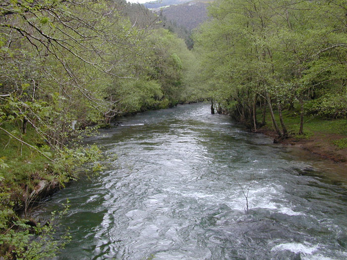 Río Eo