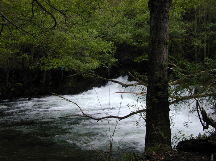 Río Rodil antes de tributar al Eo