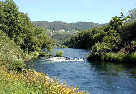 Coto sin muerte de Ximonde I