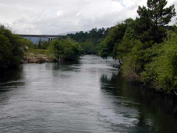 Puentes hacia el mar